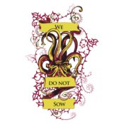 designious vector tshirt 847